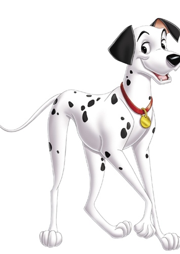 Pongo