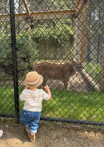 Popcorn Park Animal Refuge