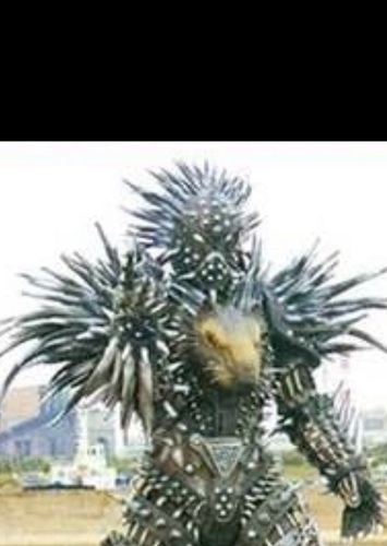 Porcupongo