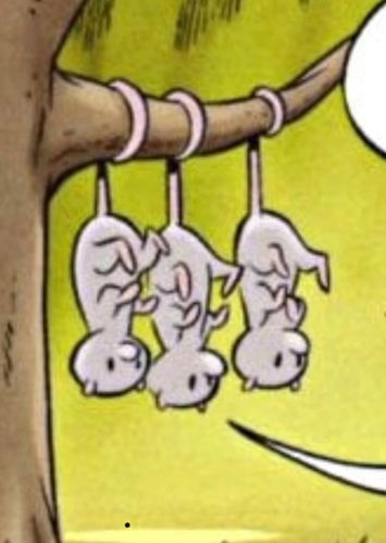 Possum Kids