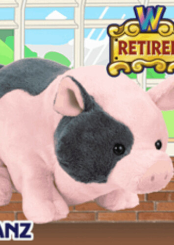 Pot Bellied Pig