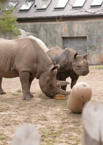 Potter Park Zoo
