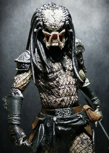 Predator