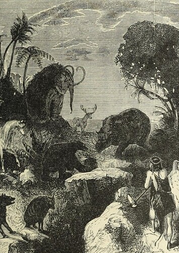 Prehistory