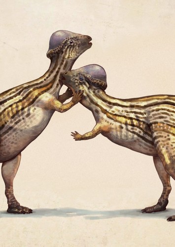 Prenocephale