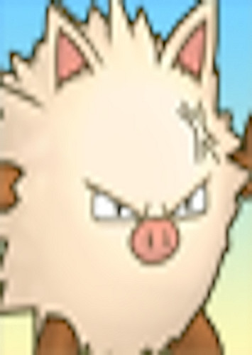 Primeape (English Dub)