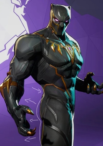 Prince T'Challa/Black Panther