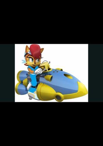 Princess Sally Acorn