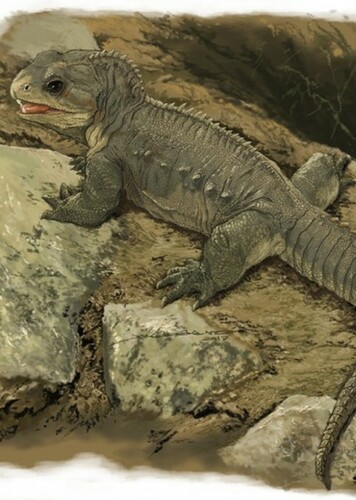 Priosphenodon