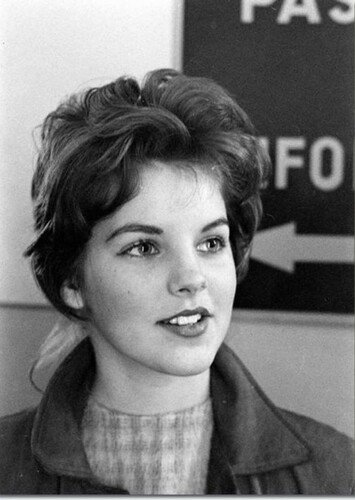 Priscilla Presley