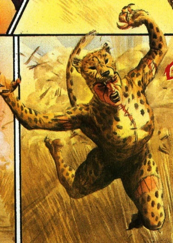 Priscilla Rich/Cheetah I