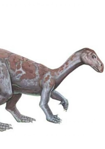 Probactrosaurus