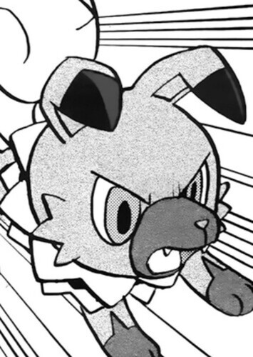 Professor Kukui's Rockruff (English Dub)