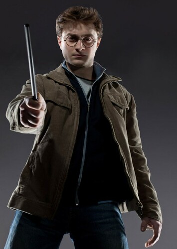 Professor Potter