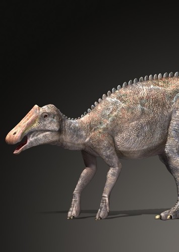 Prosaurolophus