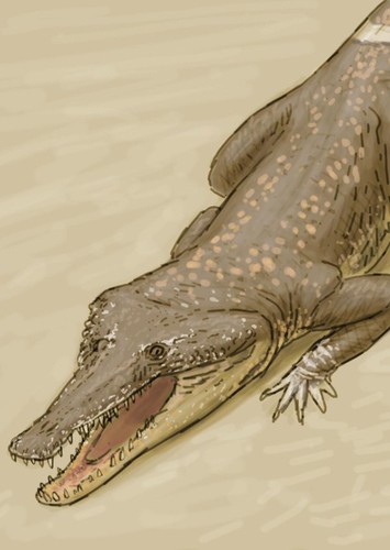 Proterochampsa