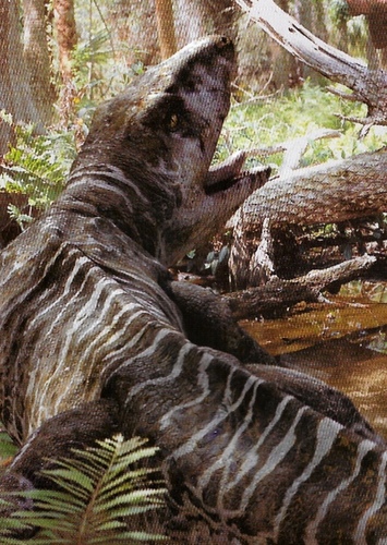 Proterogyrinus