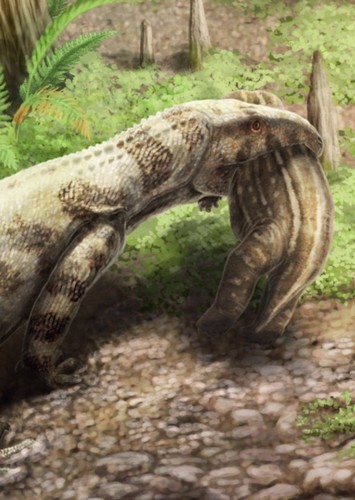 Proterosuchus