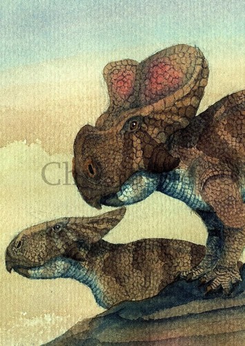 Protoceratops
