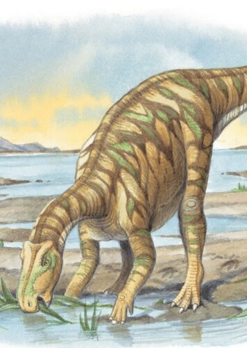 Protohadros