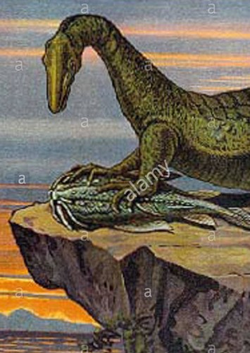 Protorosaurus