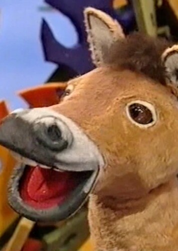 Przewalski's horse