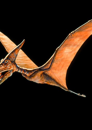 Pteranodon