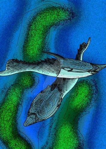 Pteraspis