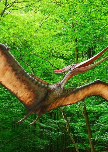 Pterodactyl