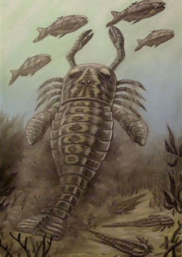Pterygotus