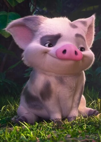 Pua