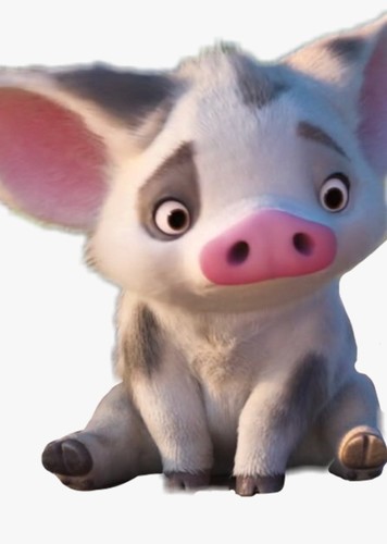 Pua