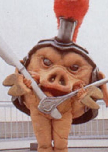 Pudgy Pig