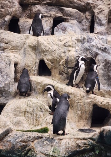 Pueblo Zoo