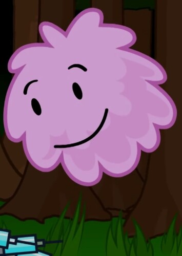 Puffball