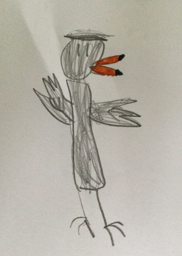 Puffin boy