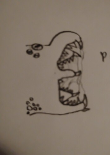 Puker