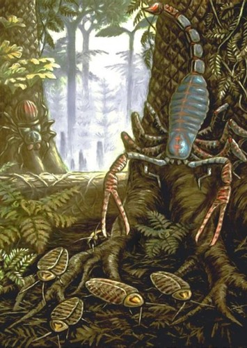 Pulmonoscorpius