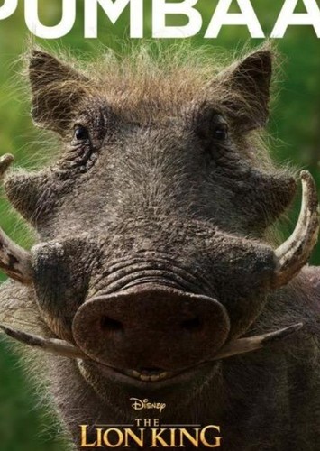 PUMBAA