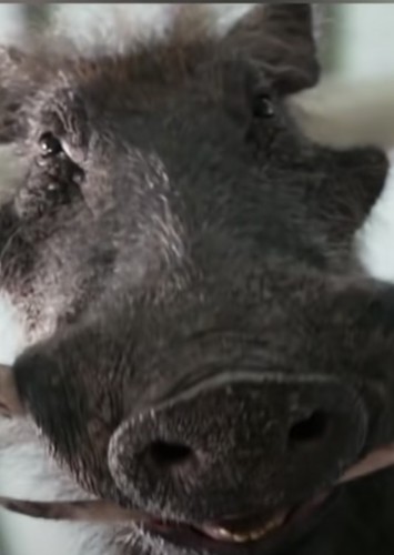 Pumbaa (2019)