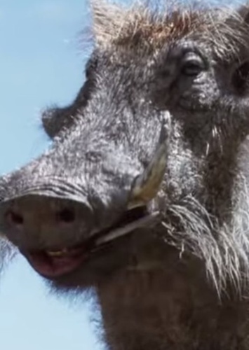 Pumbaa