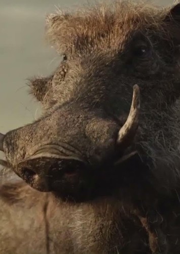 Pumbaa