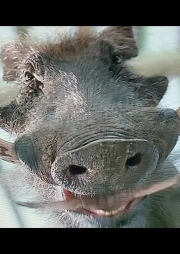 Pumbaa