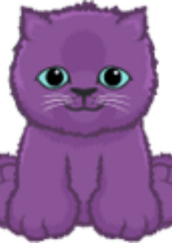 Purple Persian Kitten