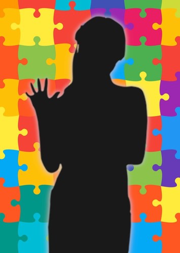 Puzzle Segment