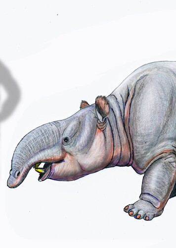 Pyrotherium