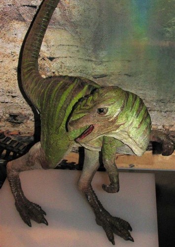 Qantassaurus