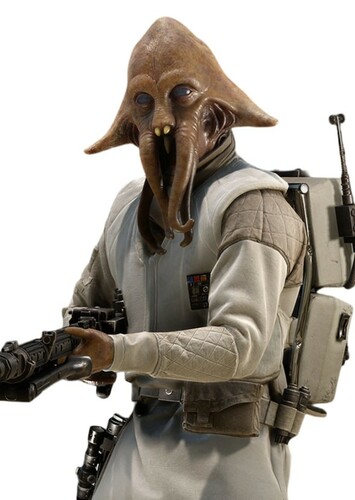 Quarren Rebel