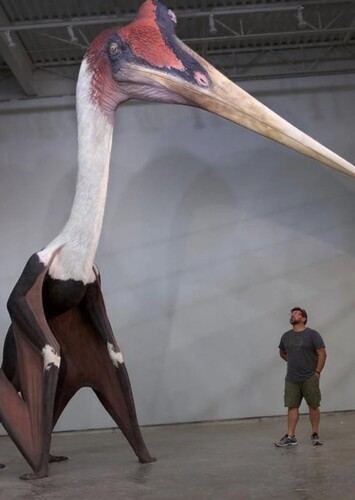 Quetzalcoatlus