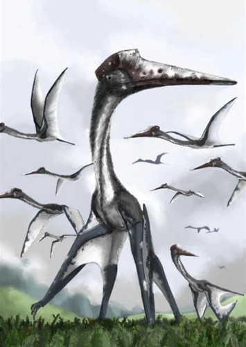 Quetzalcoatlus
